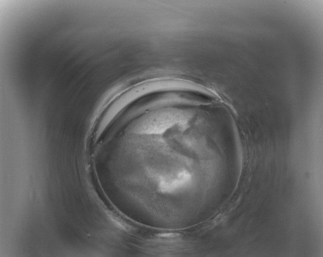 X0000067510053200604150144