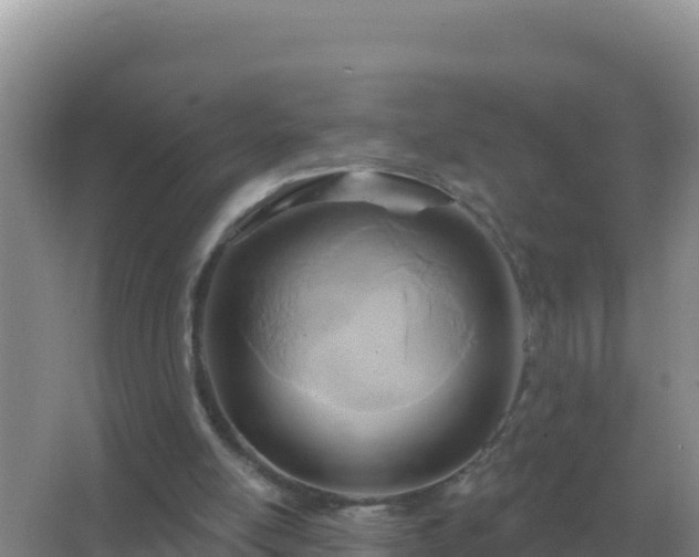 X0000067510054200604150144