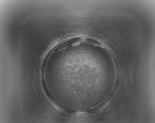 X0000067510055200604150144