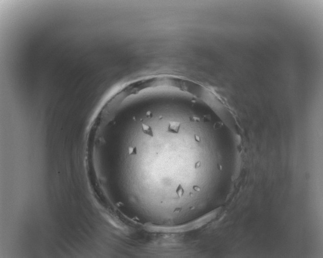 X0000067510056200604150144