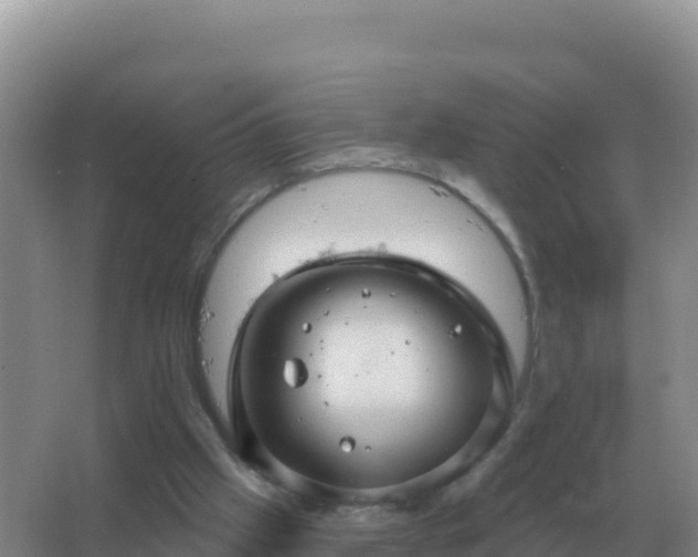 X0000067510057200604150144