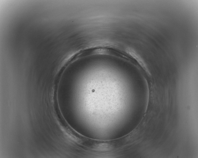 X0000067510058200604150144