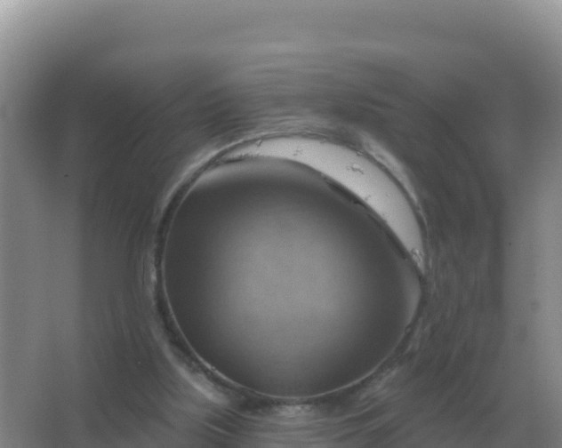 X0000067510059200604150144