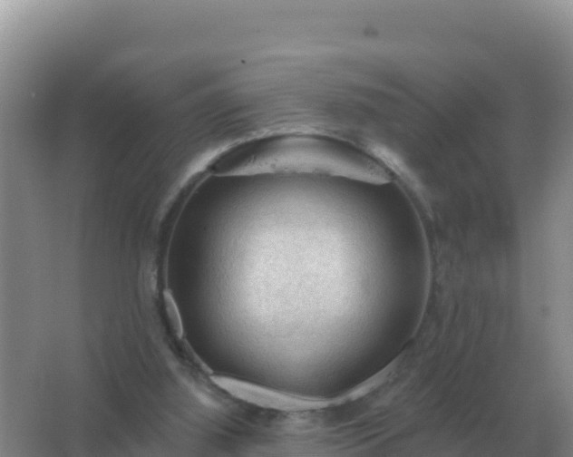 X0000067510060200604150144