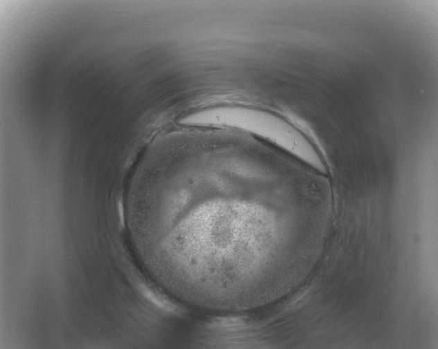 X0000067510061200604150144