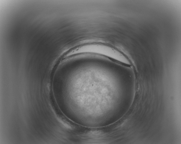 X0000067510063200604150144