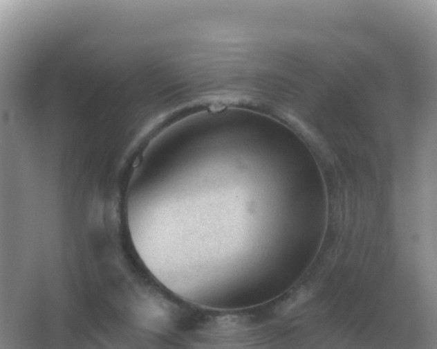 X0000067510064200604150144