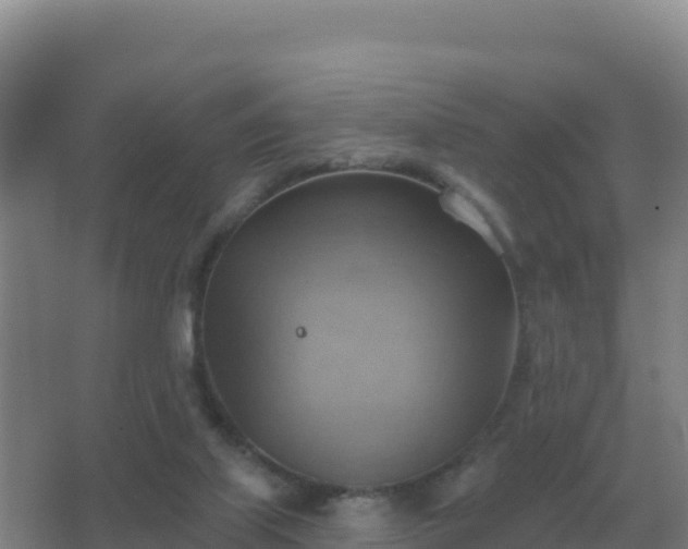 X0000067510067200604150144