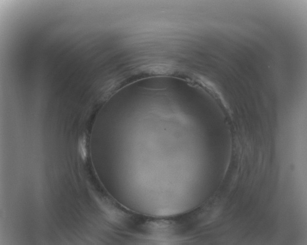 X0000067510069200604150144