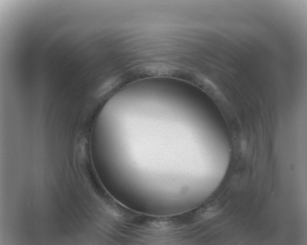 X0000067510071200604150144