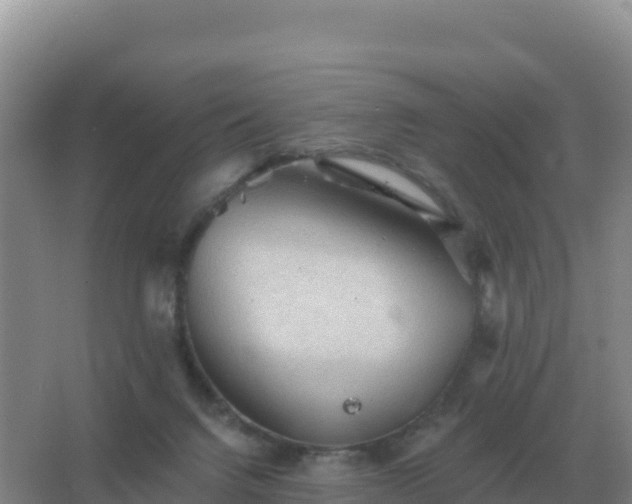 X0000067510072200604150144