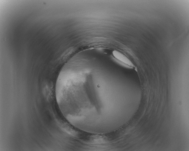 X0000067510073200604150144