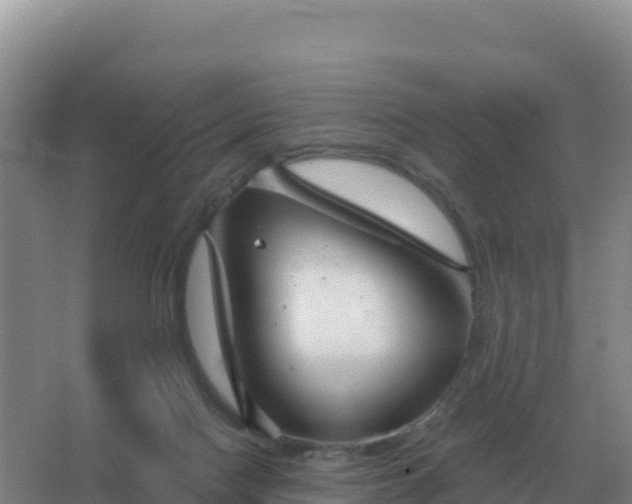 X0000067510074200604150144