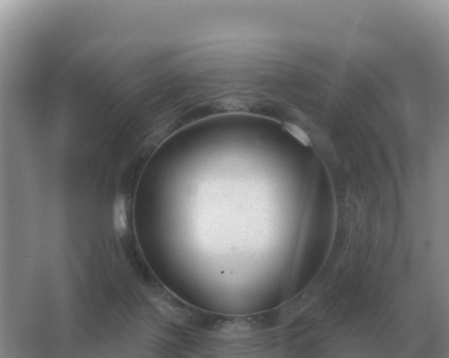 X0000067510075200604150144