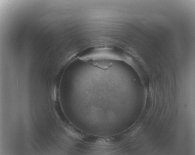 X0000067510076200604150144