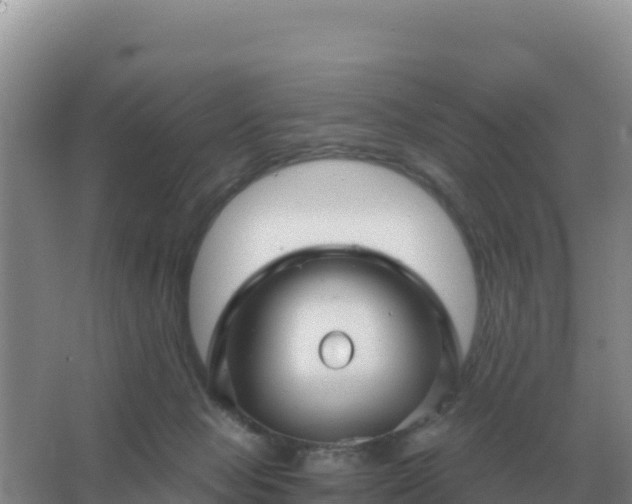 X0000067510077200604150144