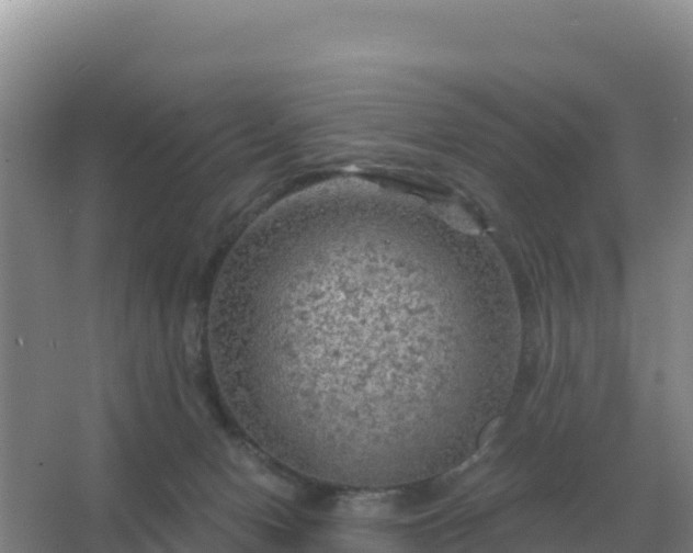 X0000067510078200604150144