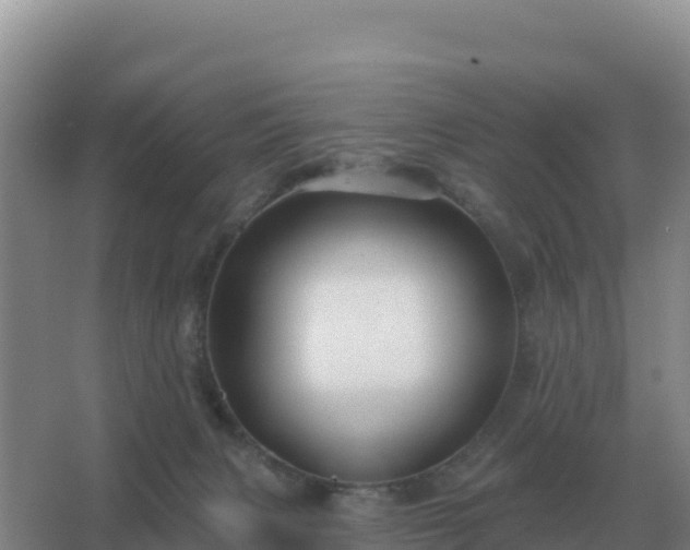 X0000067510079200604150144