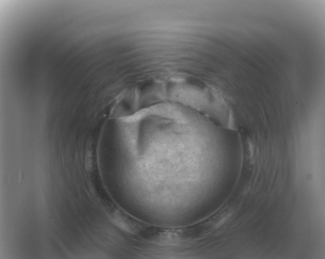 X0000067510080200604150144