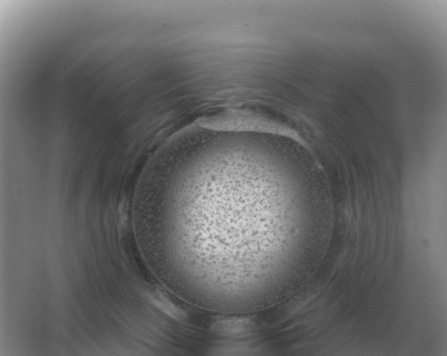 X0000067510081200604150144