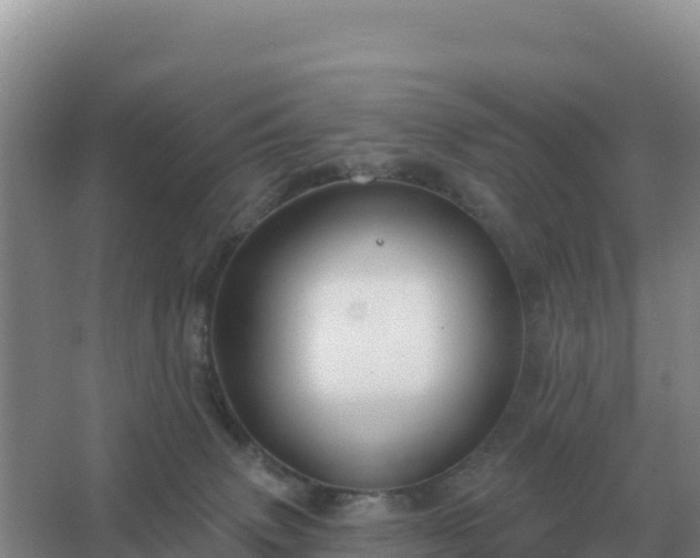 X0000067510083200604150144