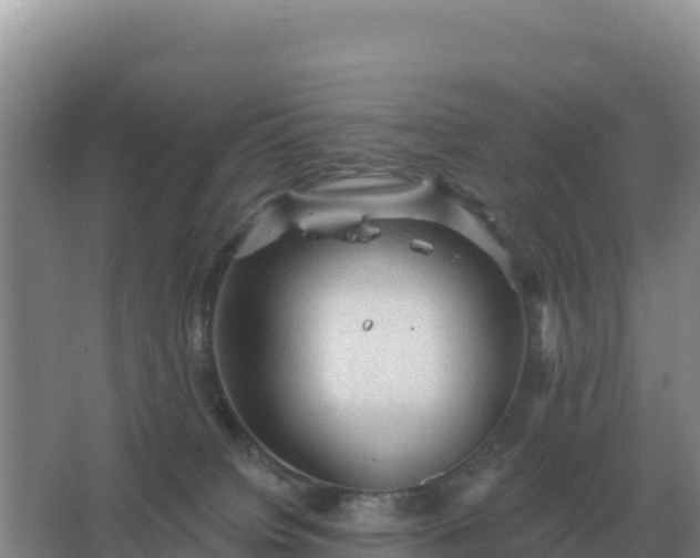 X0000067510084200604150144