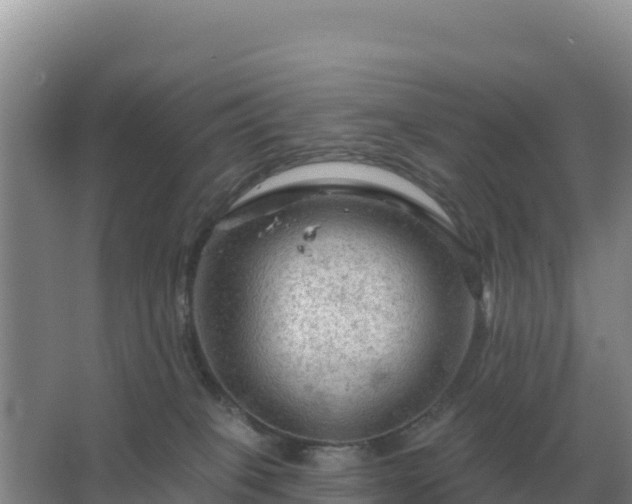 X0000067510085200604150144