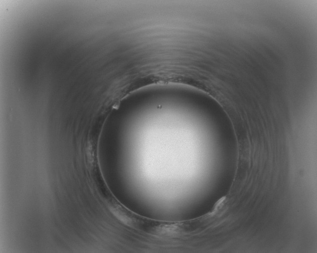 X0000067510086200604150144