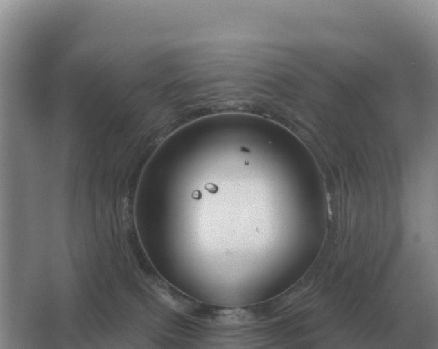 X0000067510087200604150144