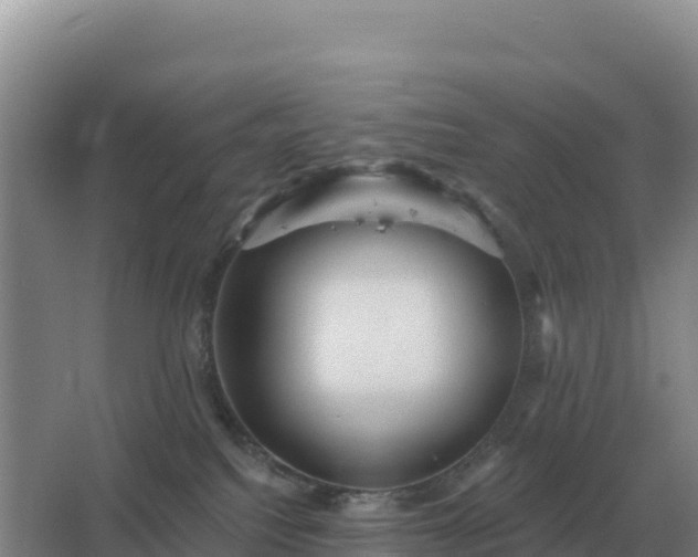 X0000067510088200604150144