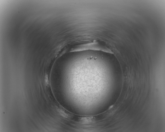 X0000067510089200604150144