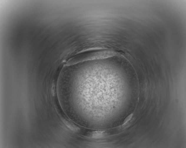 X0000067510090200604150144