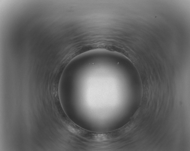 X0000067510091200604150144