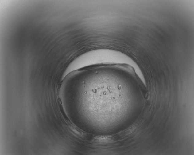 X0000067510093200604150144