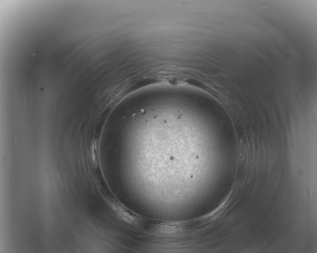 X0000067510094200604150144