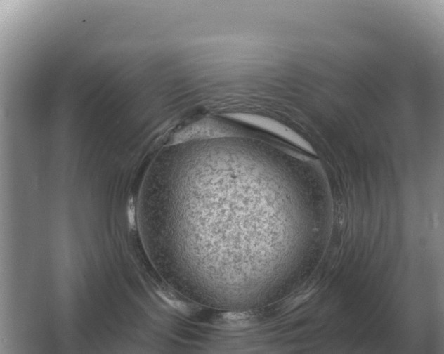 X0000067510095200604150144