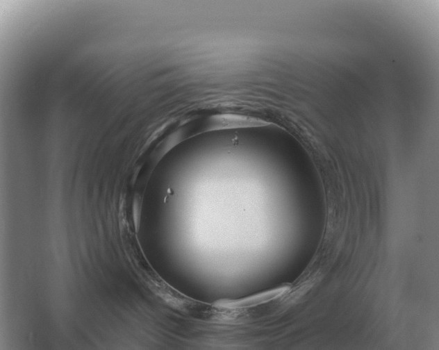 X0000067510096200604150144