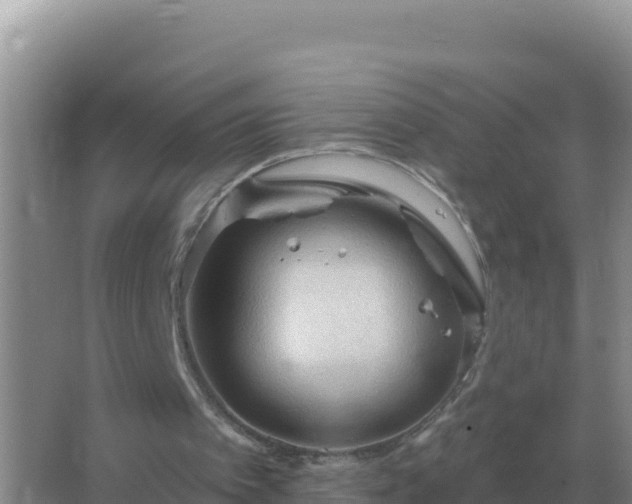 X0000067510097200604150144