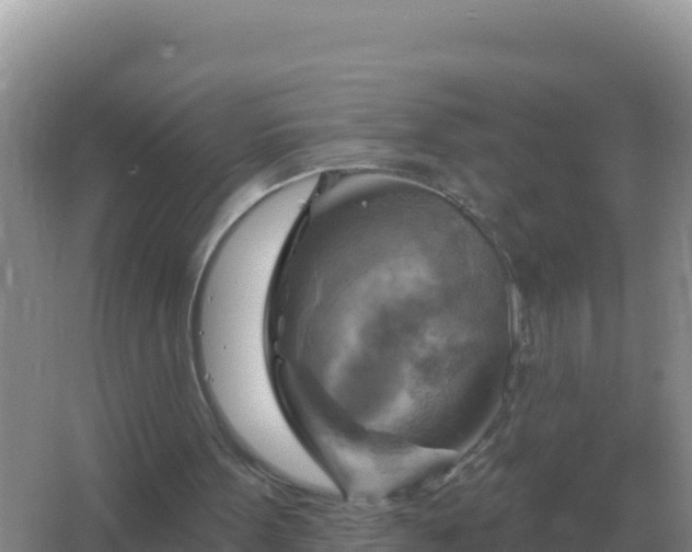 X0000067510099200604150144