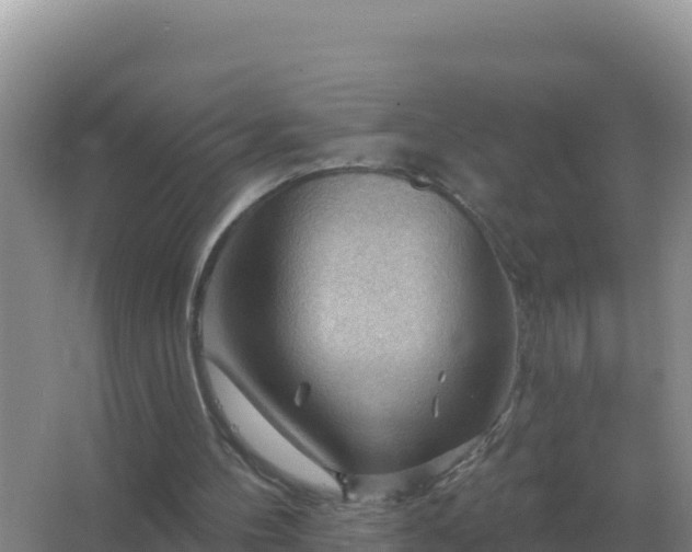 X0000067510100200604150144