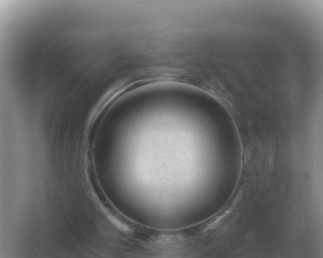 X0000067510101200604150144