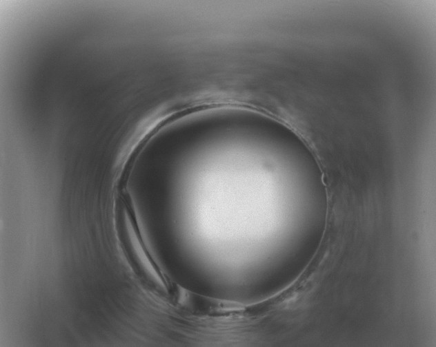 X0000067510103200604150144