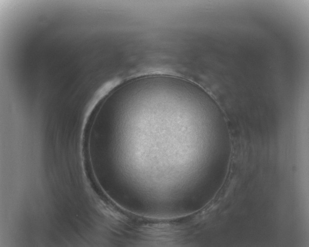 X0000067510104200604150143