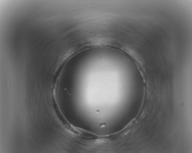 X0000067510105200604150143