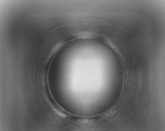 X0000067510106200604150143