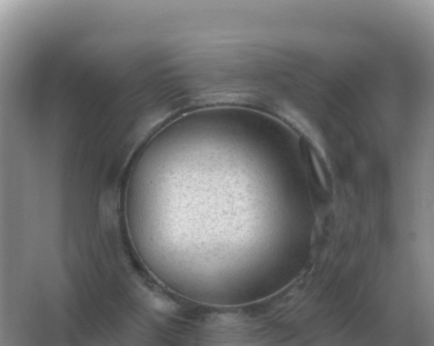 X0000067510107200604150143