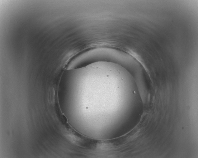 X0000067510109200604150143