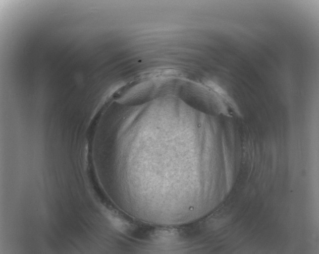 X0000067510110200604150143