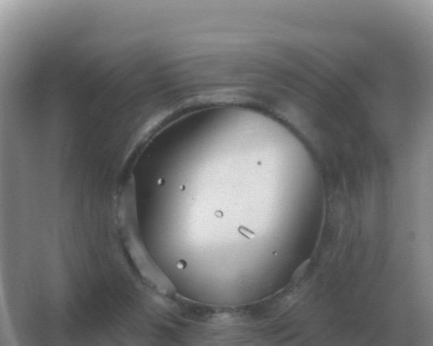 X0000067510111200604150143