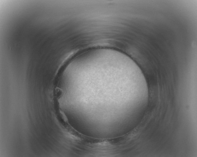 X0000067510112200604150143